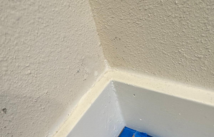 best painting contractor in kirkland wa